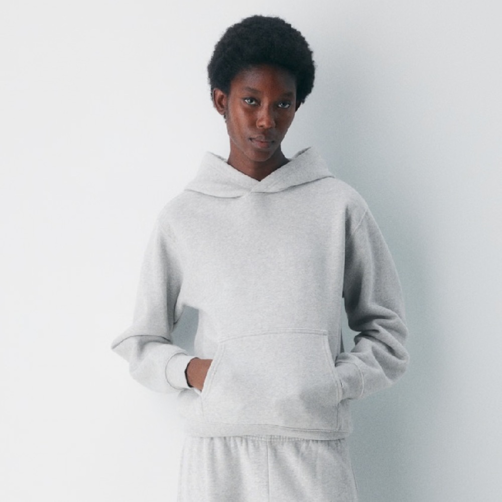 Aritzia cozy sweat fleece perfect hoodie